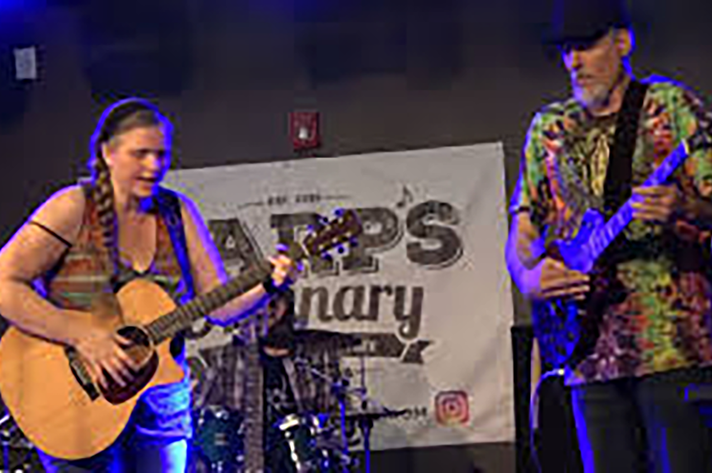 Live Music Tamara Mae Dovell
