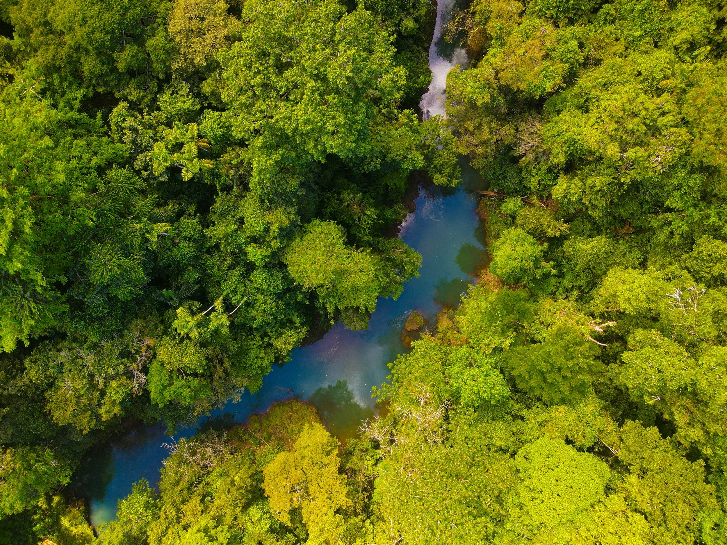Aerial jungle river Costa Rica