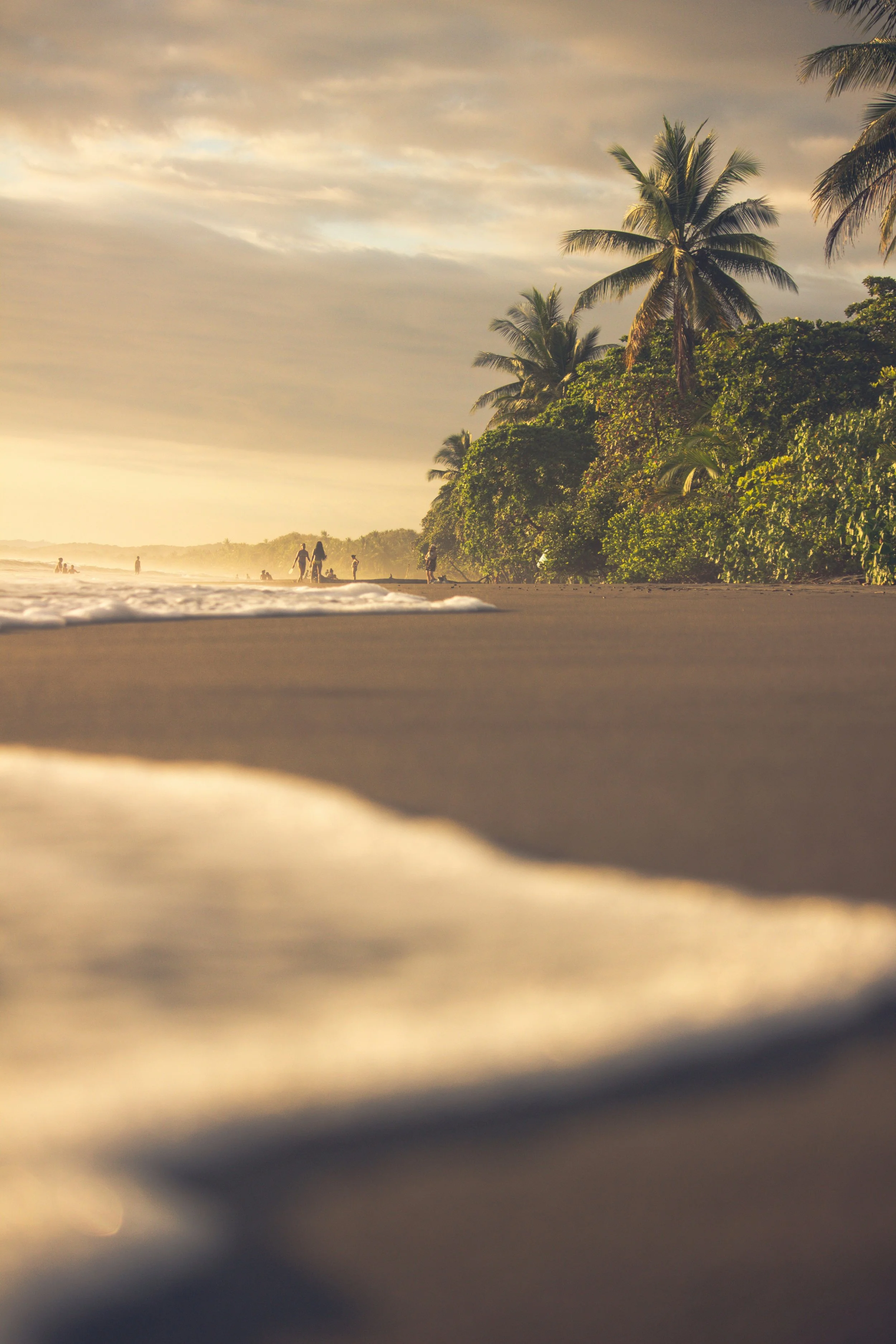 Golden sunset Costa Rica beach