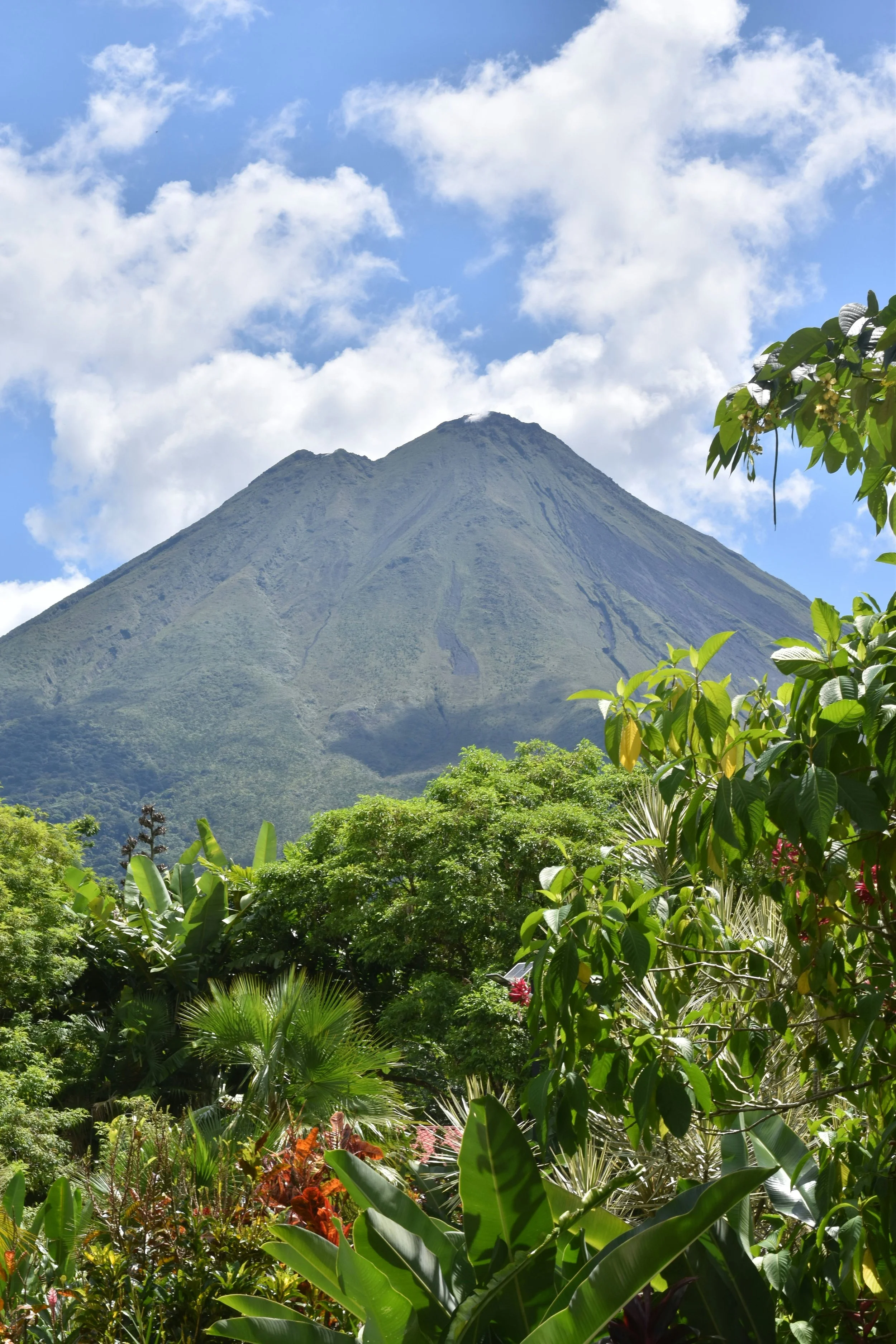Arenal Volcano with tropical garden Costa Rica