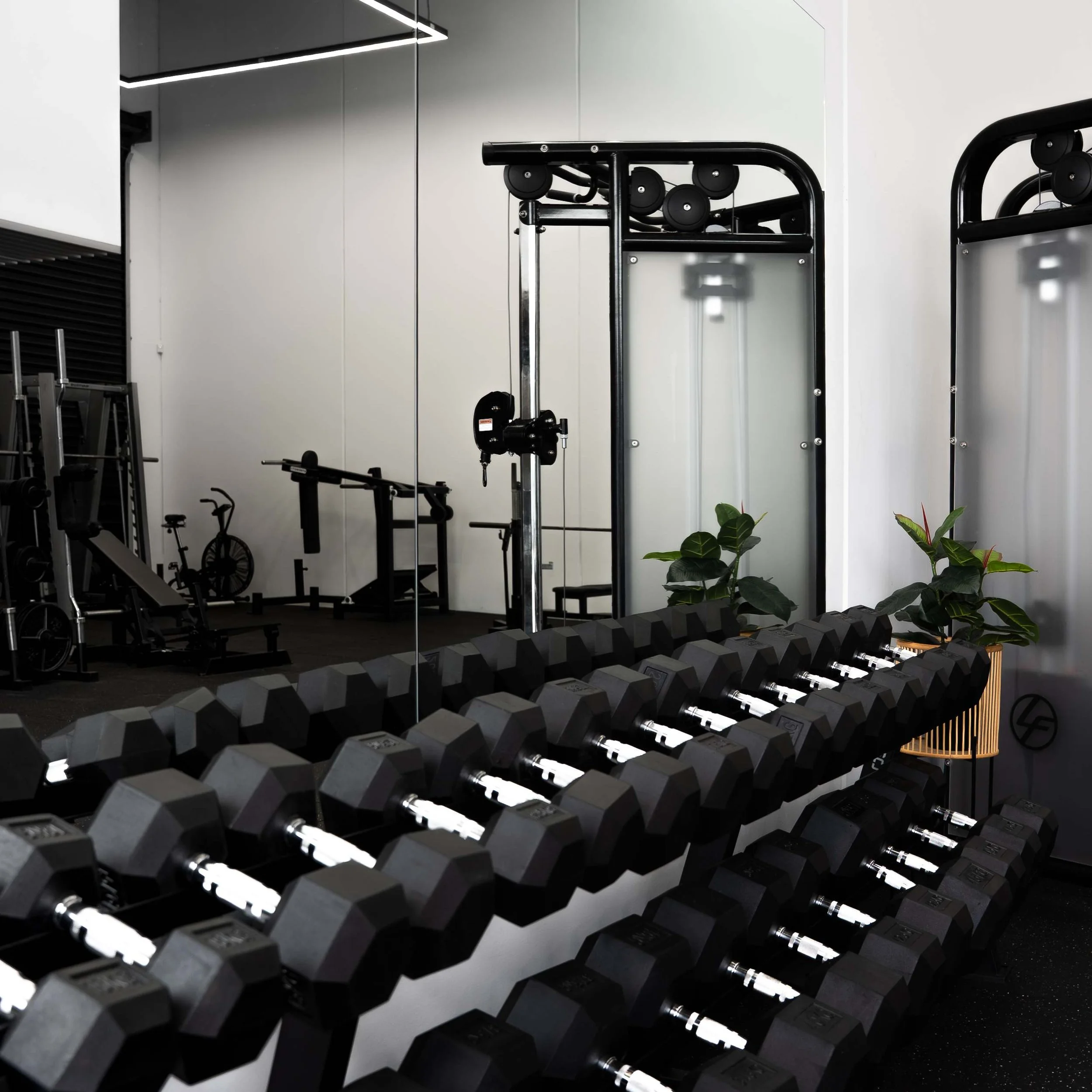 Dumbbell area at Another Gym