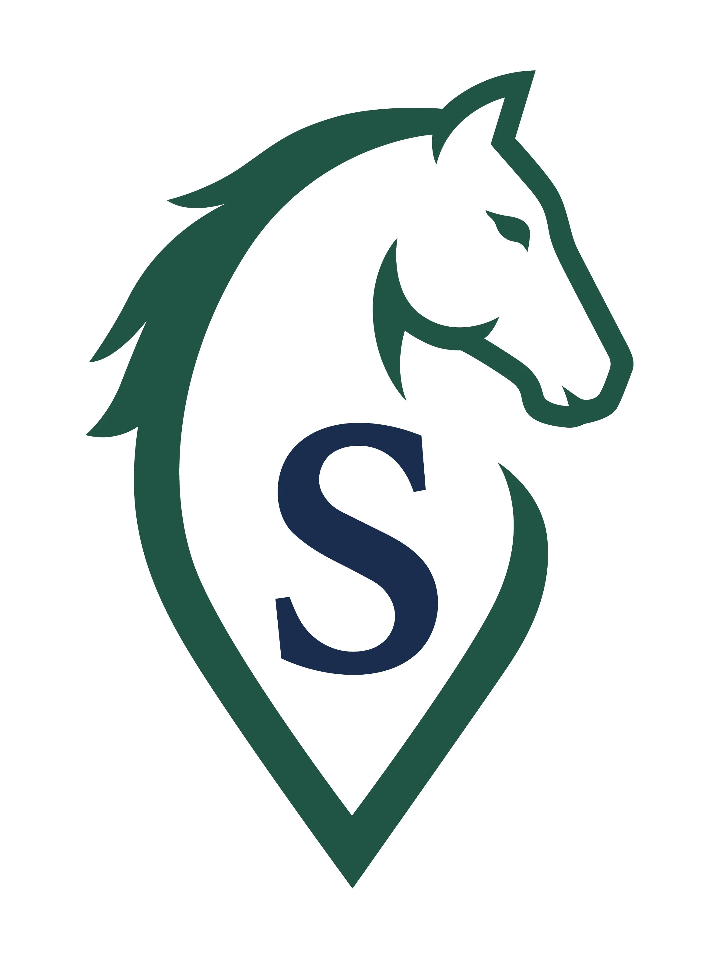VS Head Brand Logo