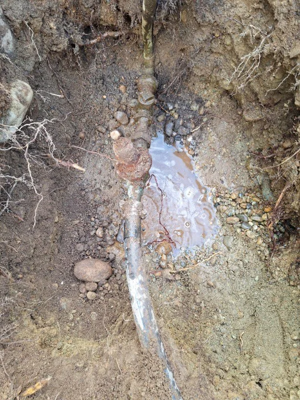 Sewer line repair Seattle plumbing service technician