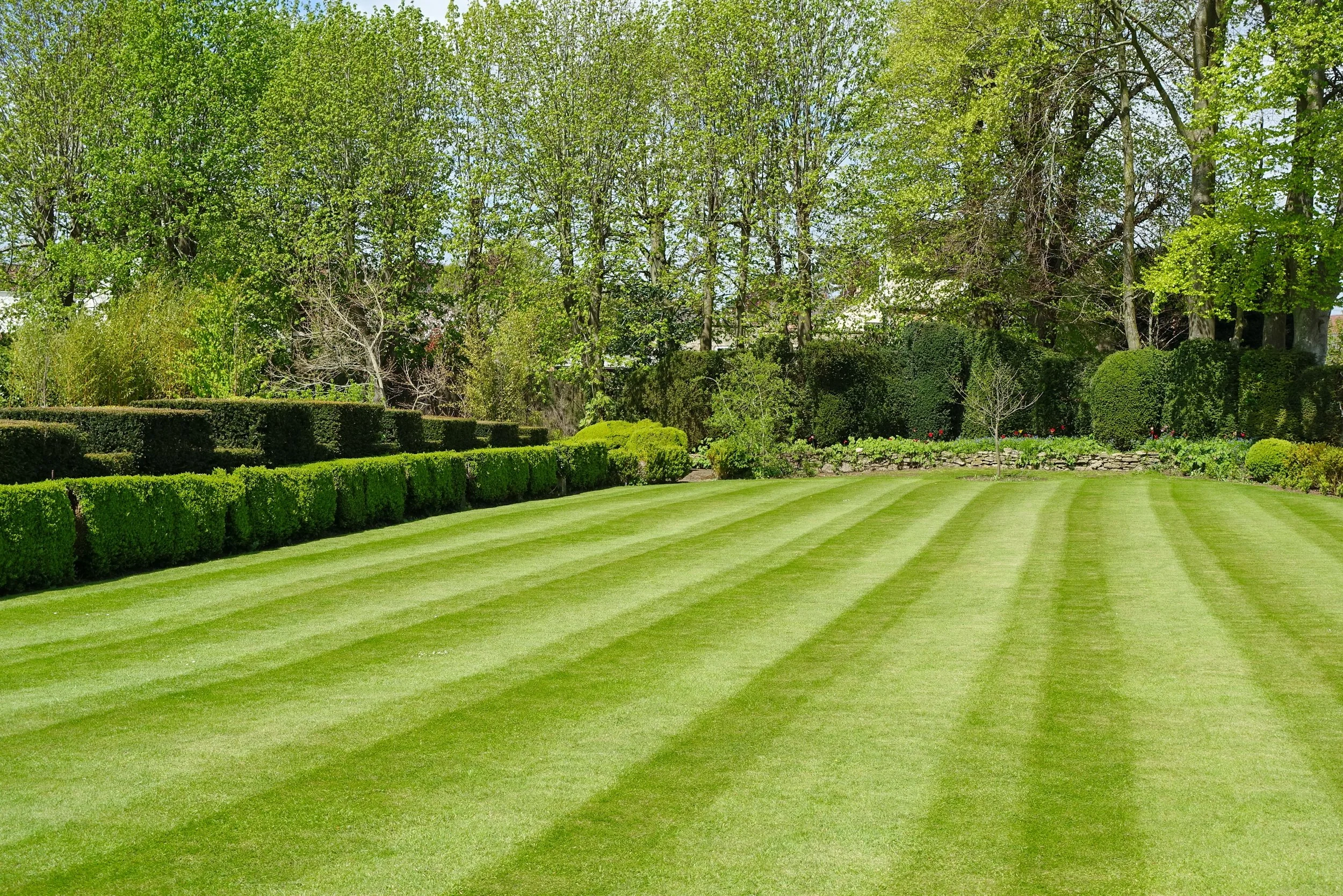 Perfectly striped lush green residential lawn maintained by Next Level Turf Care