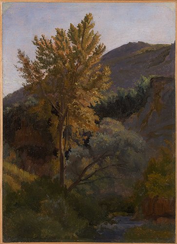 Jean-Baptiste-Camille Corot, Étude d'arbre près d'un torrent en Italie