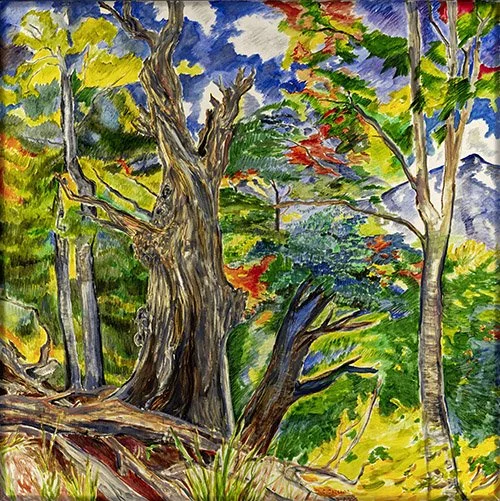 Corinne Cuellar, Trees above the Village of Rasa in Centovalli, Switzerland