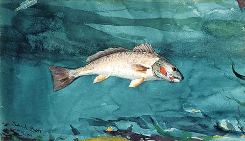 Winslow Homer, Channel Bass