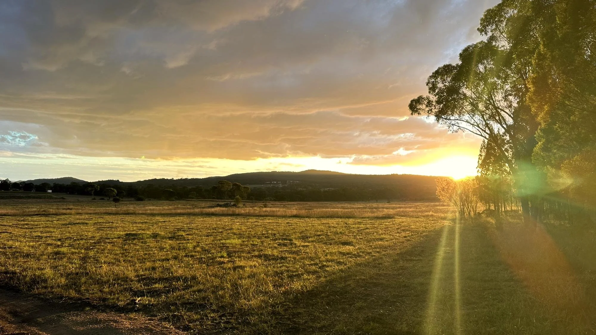 The sun setting across the paddocks