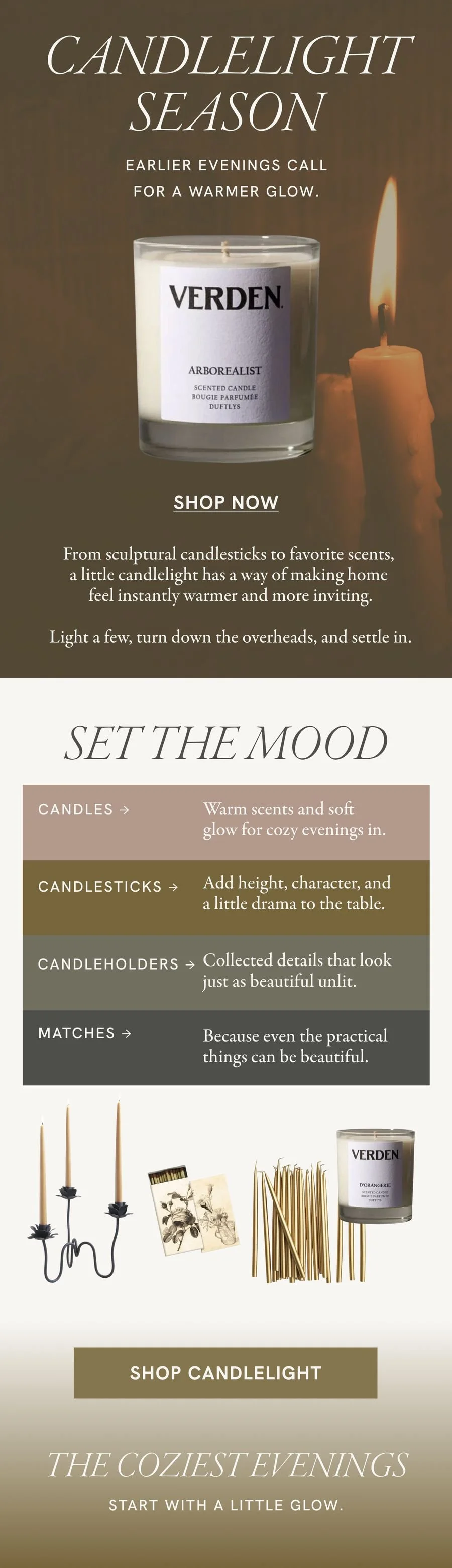 Seasonal Campaign email we designed