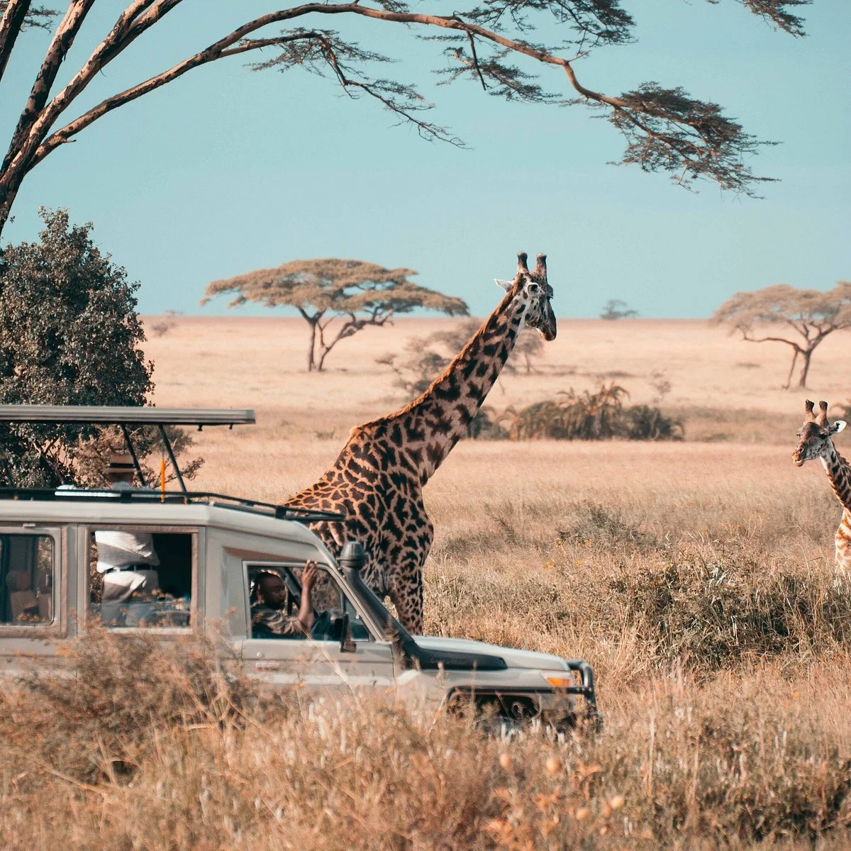 Zanzibar