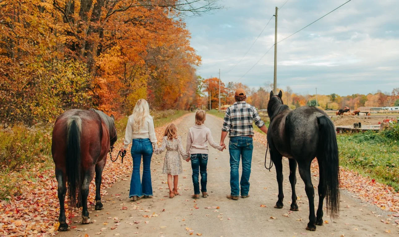 Open riding arena and obstacle course at Country Corner Stables