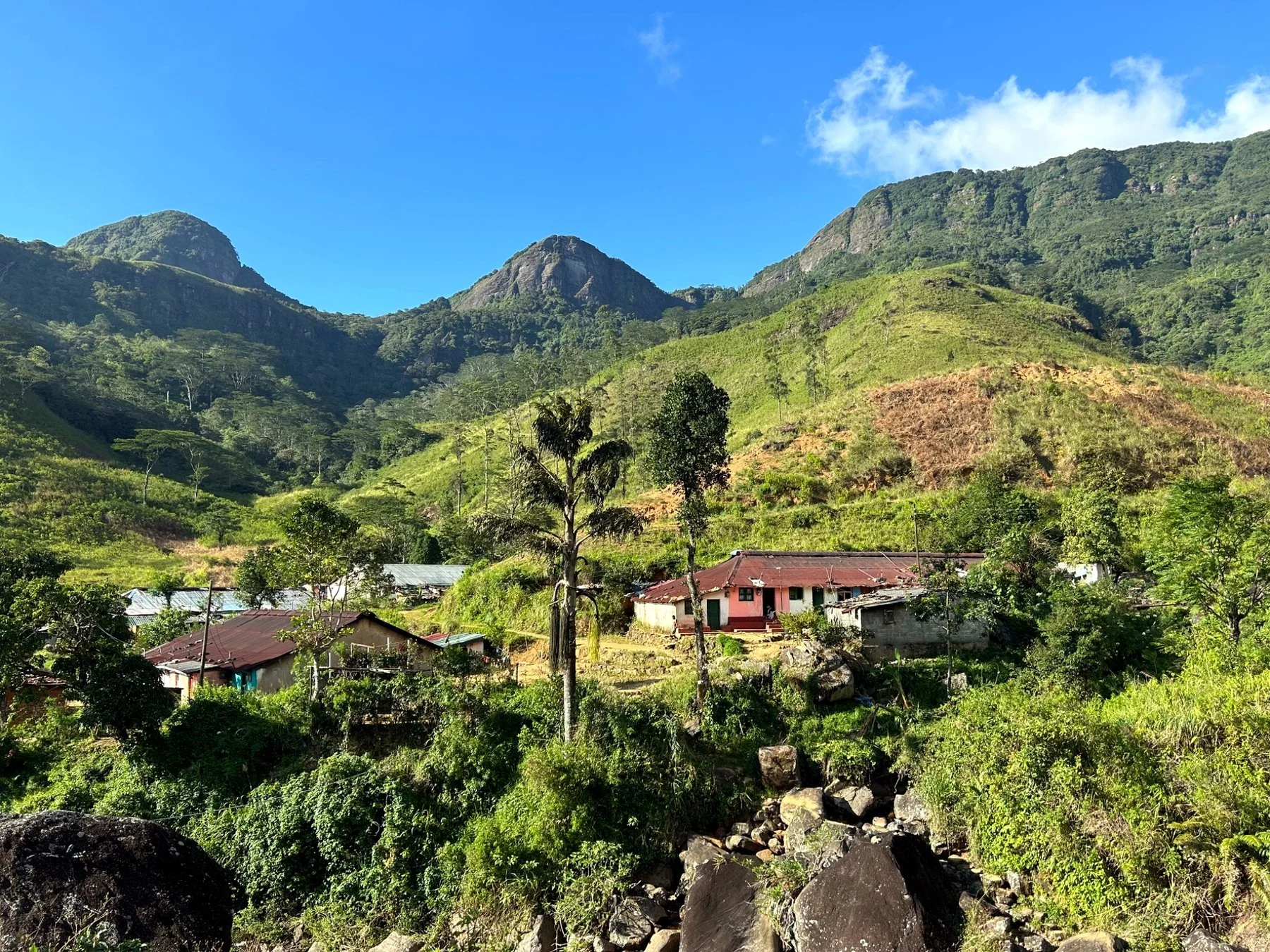 Village Life