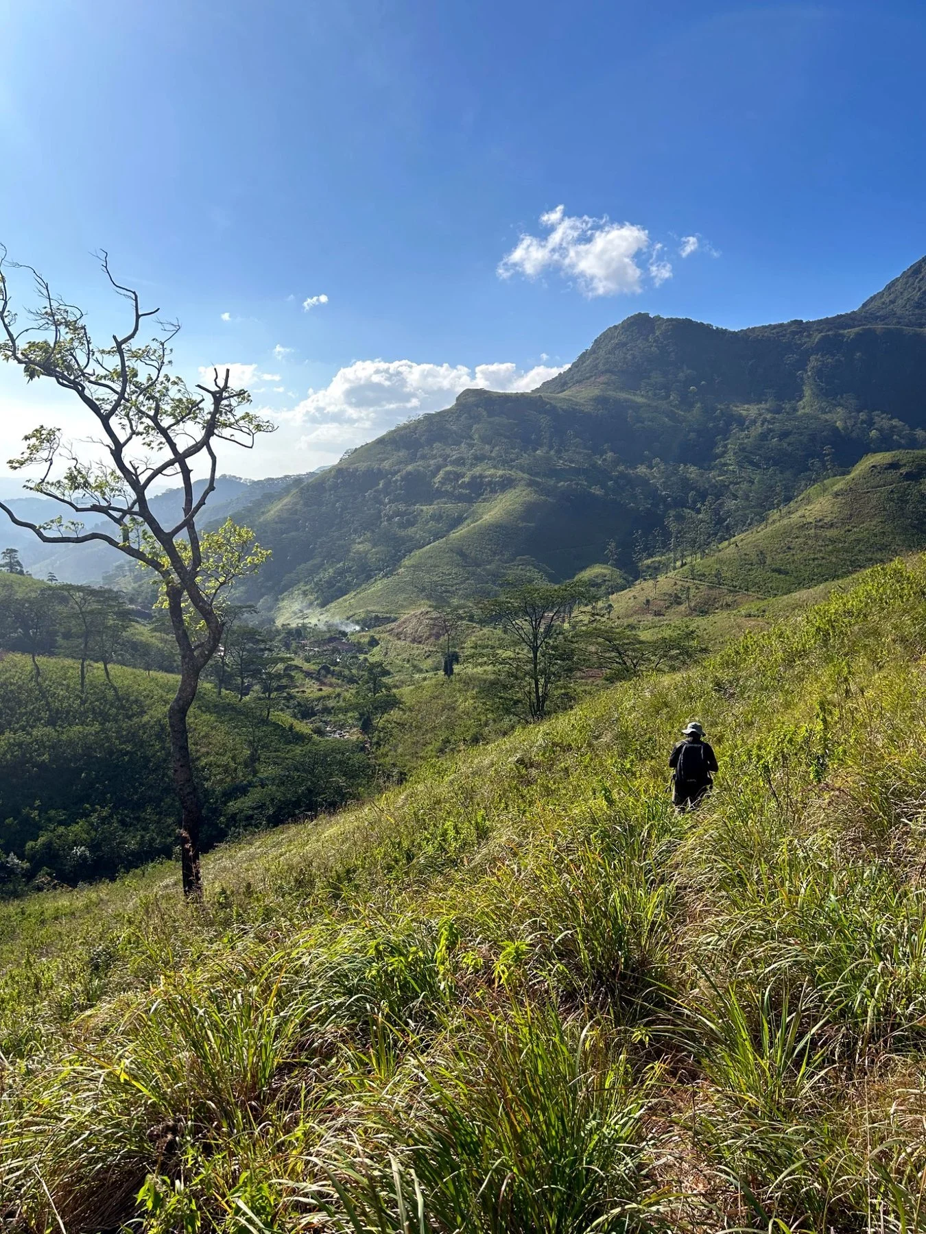 Trekking