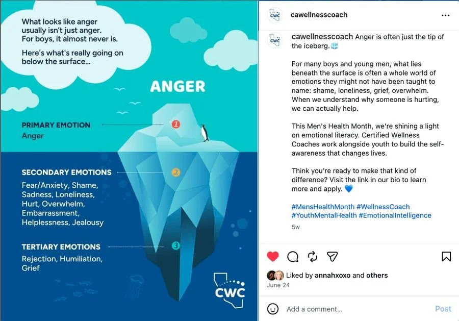 Anger iceberg organic social post