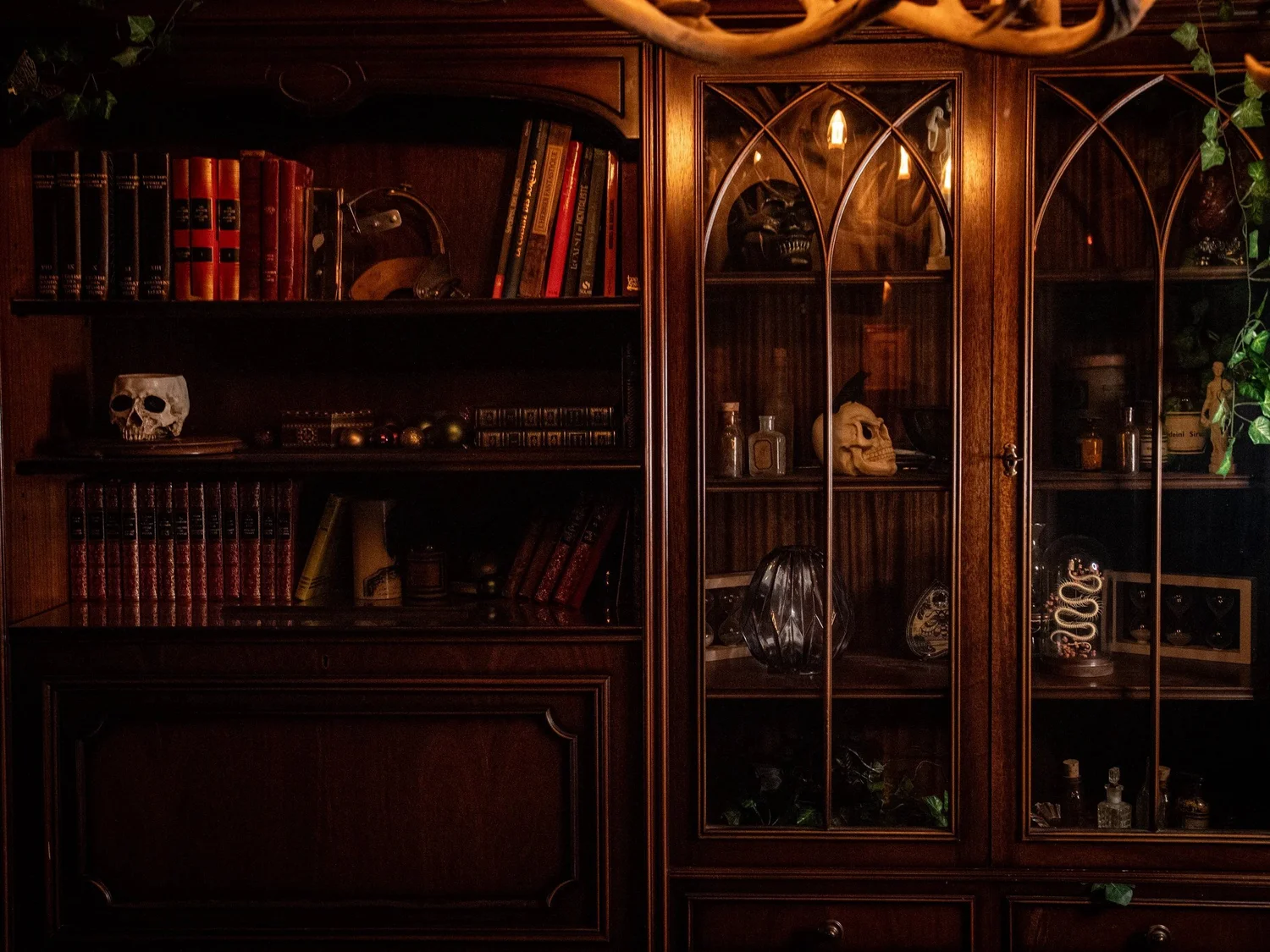 Le cabinet de curiosités des Trois Corbeaux, à Nantes.