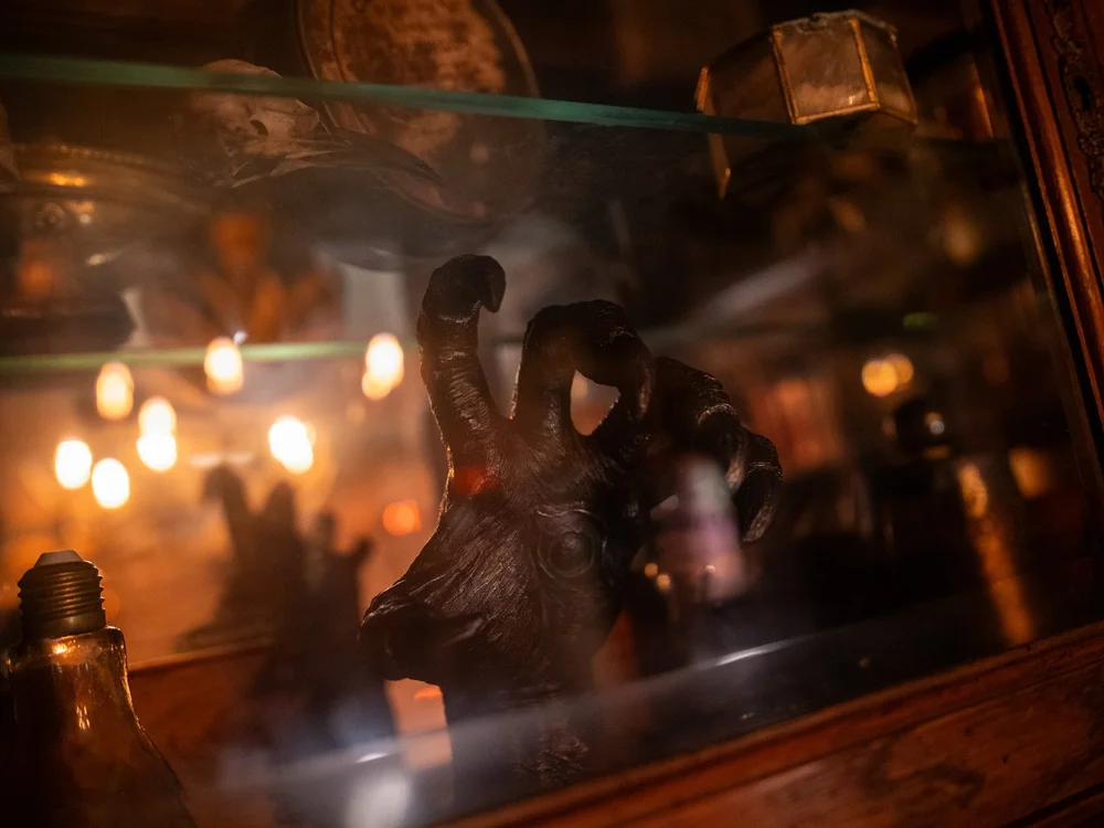 Une tête cornue dans une vitrine des Trois Corbeaux, avec les reflets de plusieurs lumières chaudes.