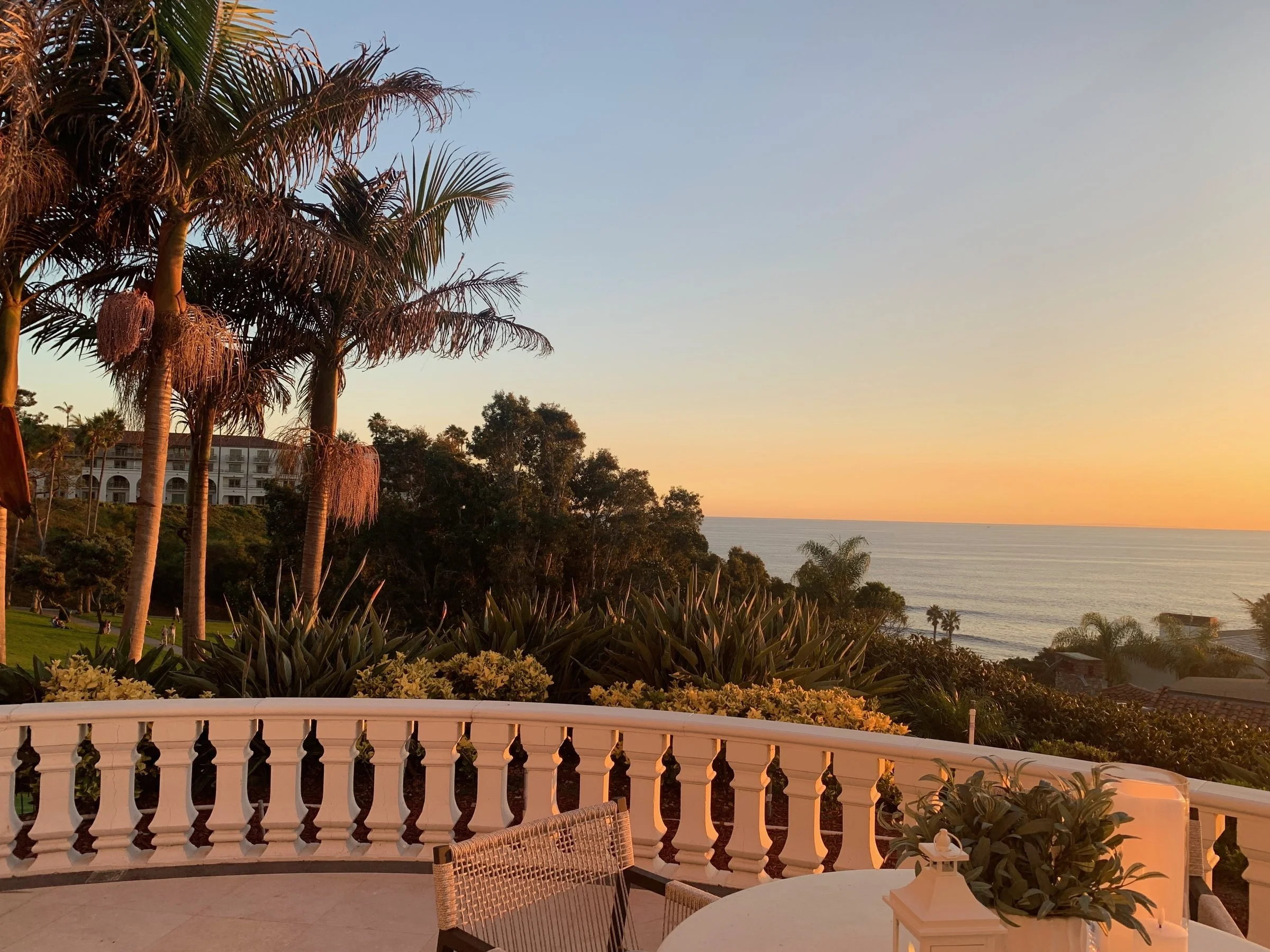 Palms and a terrace overlooking the Pacific Ocean at sunset in Dana Point