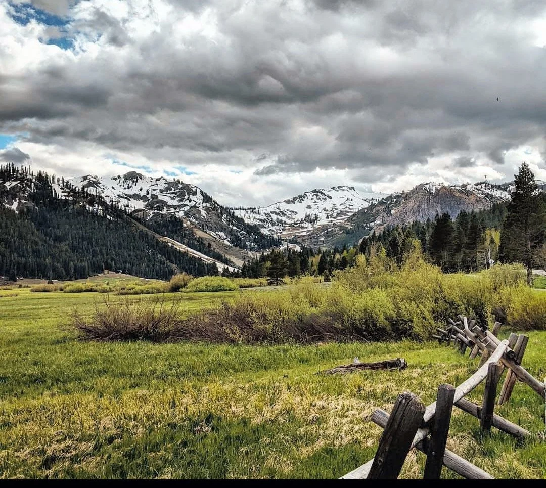 Olympic Valley meadow at Palisades Tahoe