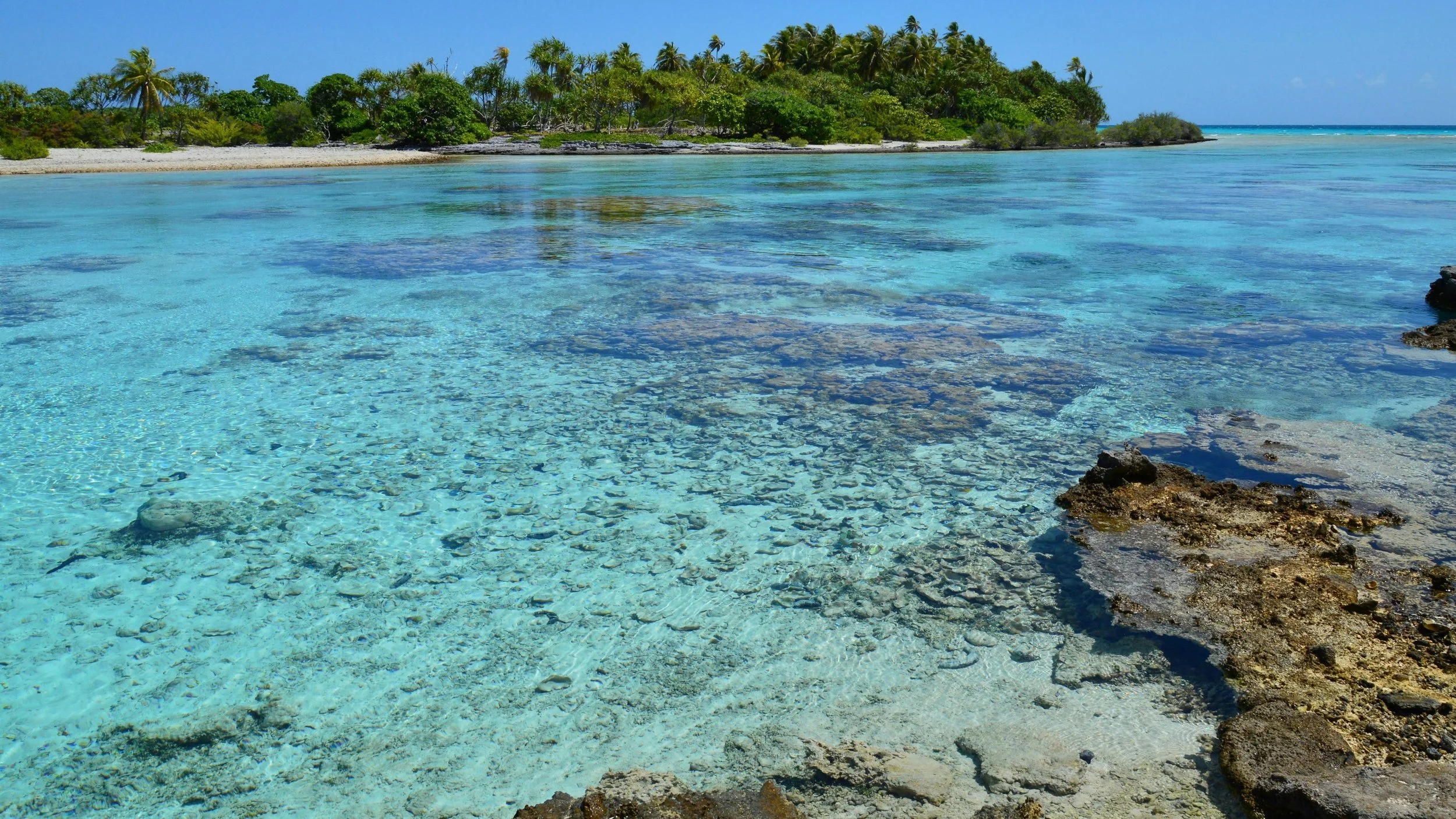 Clear-water flats and a palm-covered reef island on Rangiroa