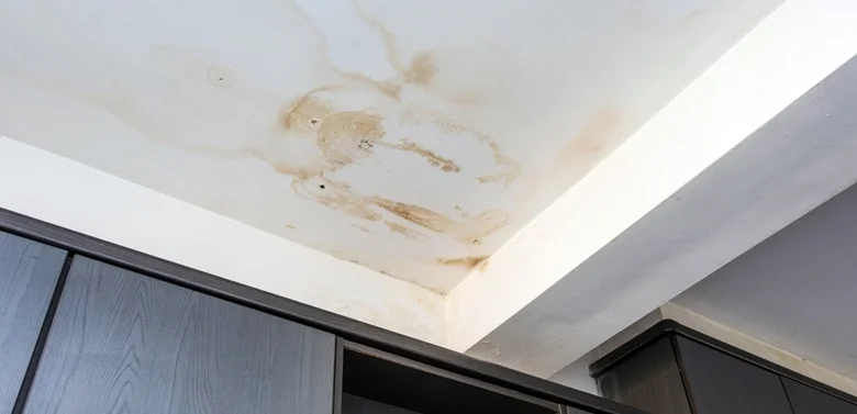 waterschade door lekkend dak interieur Antwerpen
