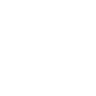 Public Safety