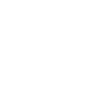 Government