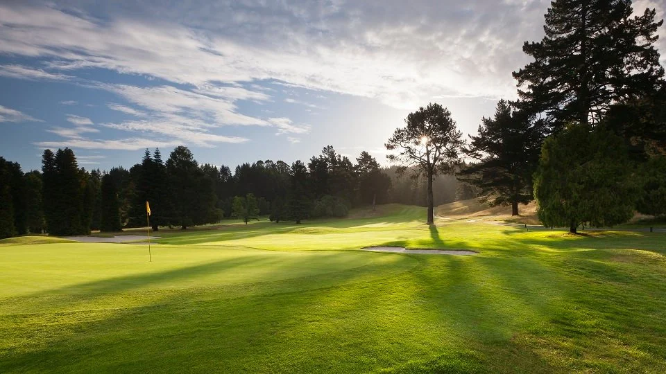 Deer on the fairway at Wairakei Golf + Sanctuary