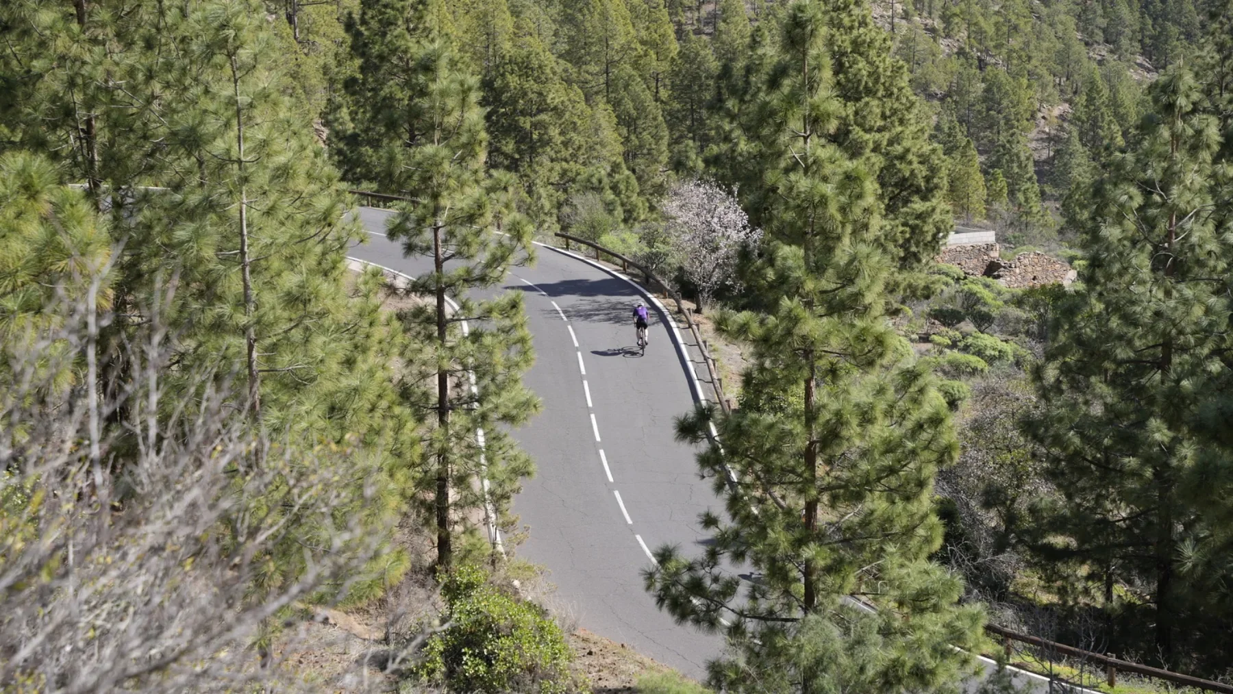 Kurvenreiche Bergstraße auf Teneriffa
