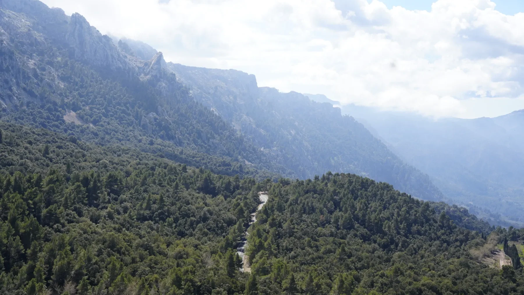 Berglandschaft mit bewaldeten Hängen und einer Straße auf Mallorca