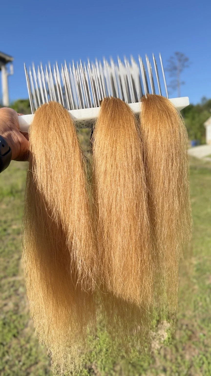 Prepared blonde extension hair in natural light during color planning