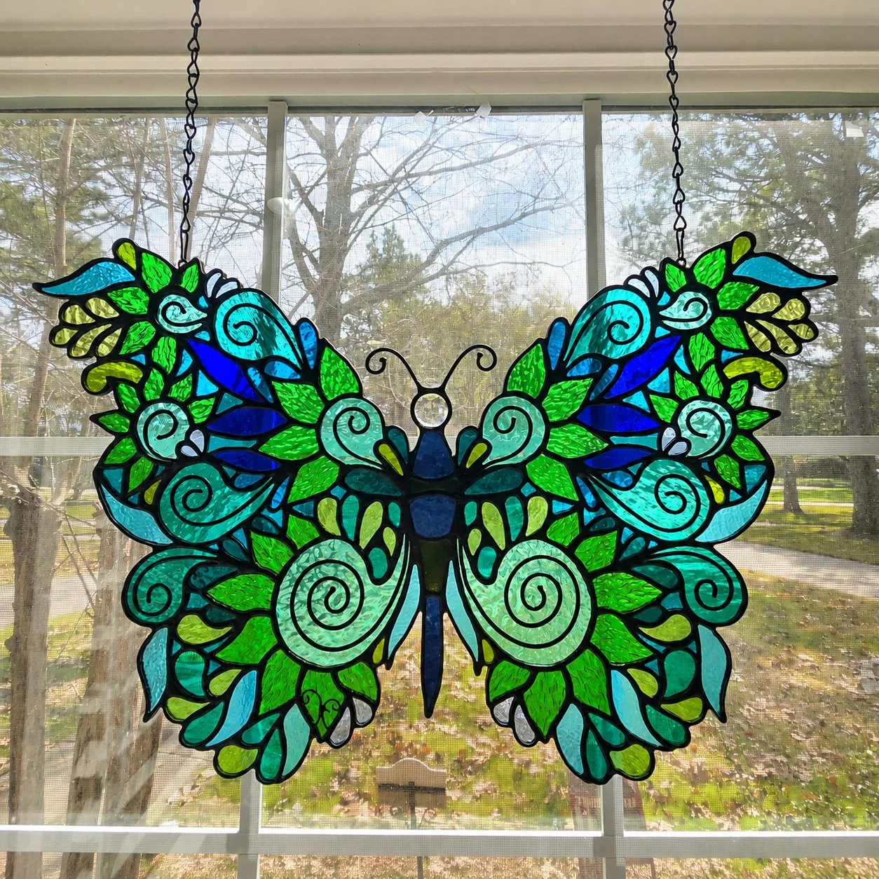 Butterfly