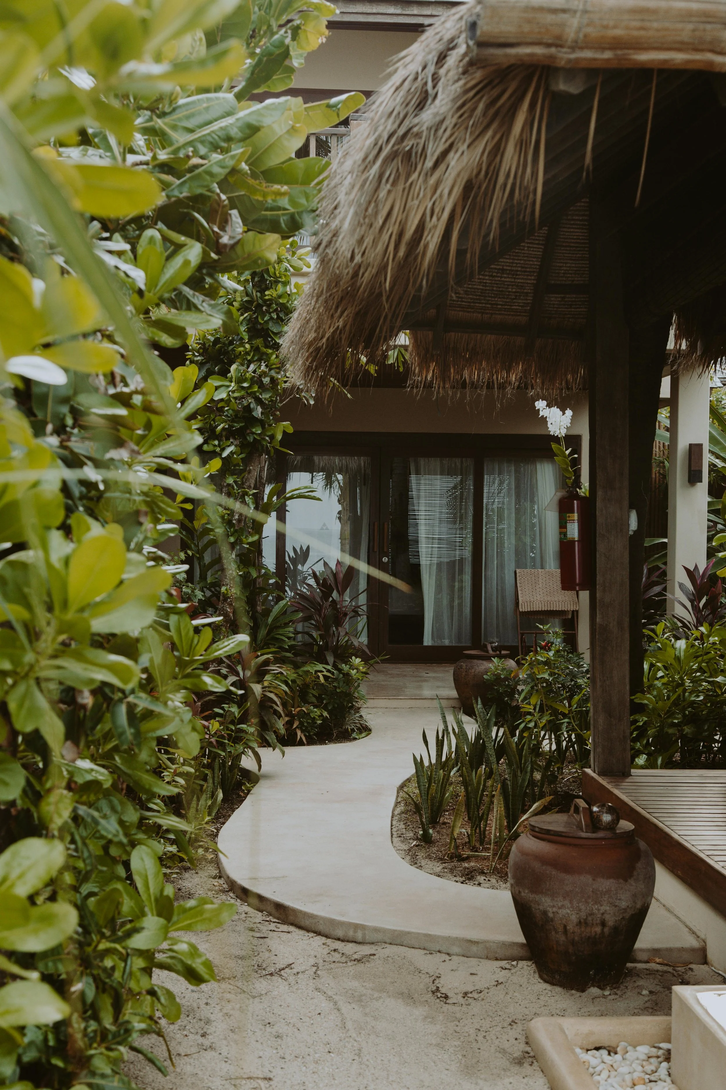 Tropical hotel pathway with lush greenery