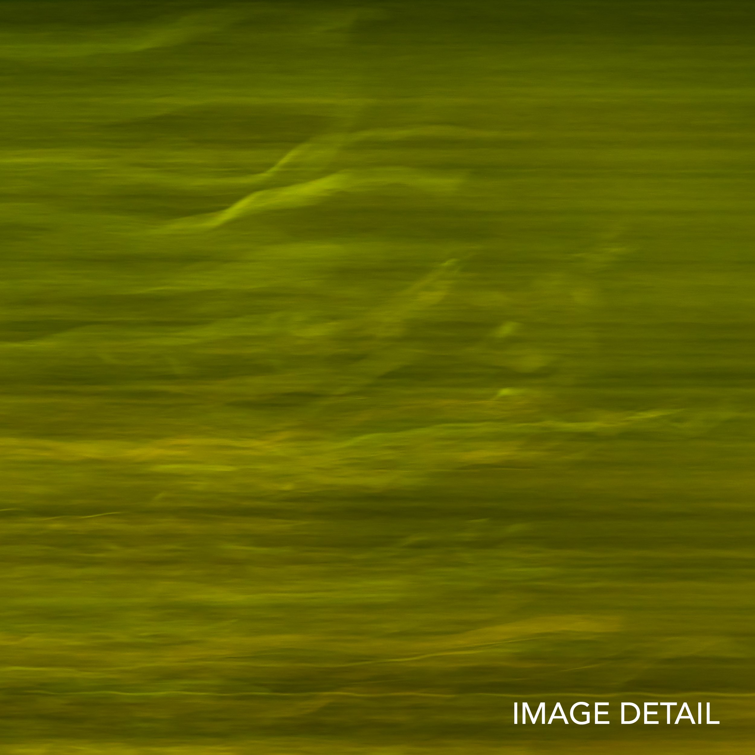 Chromascape 028 detail 2