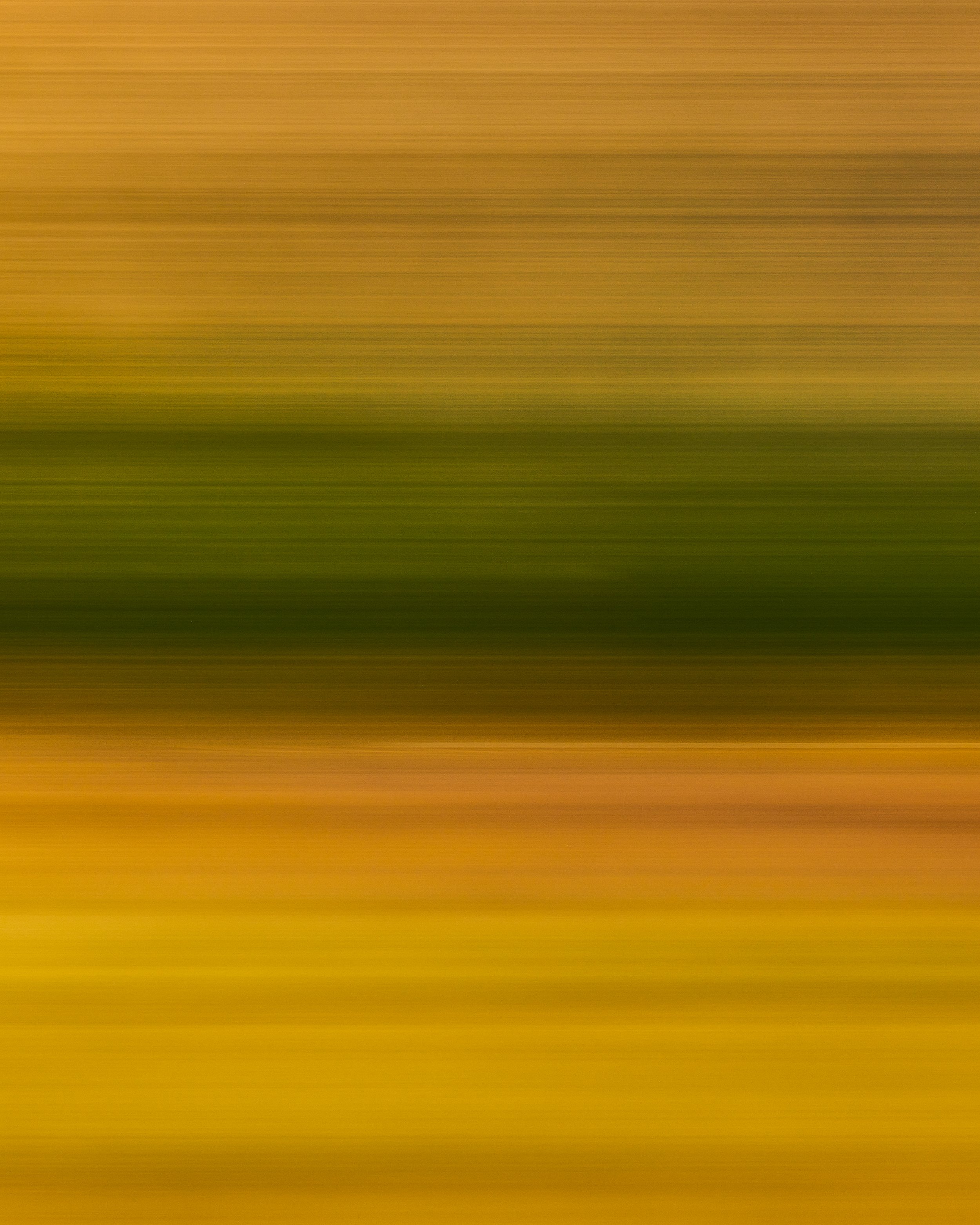 Chromascape 41