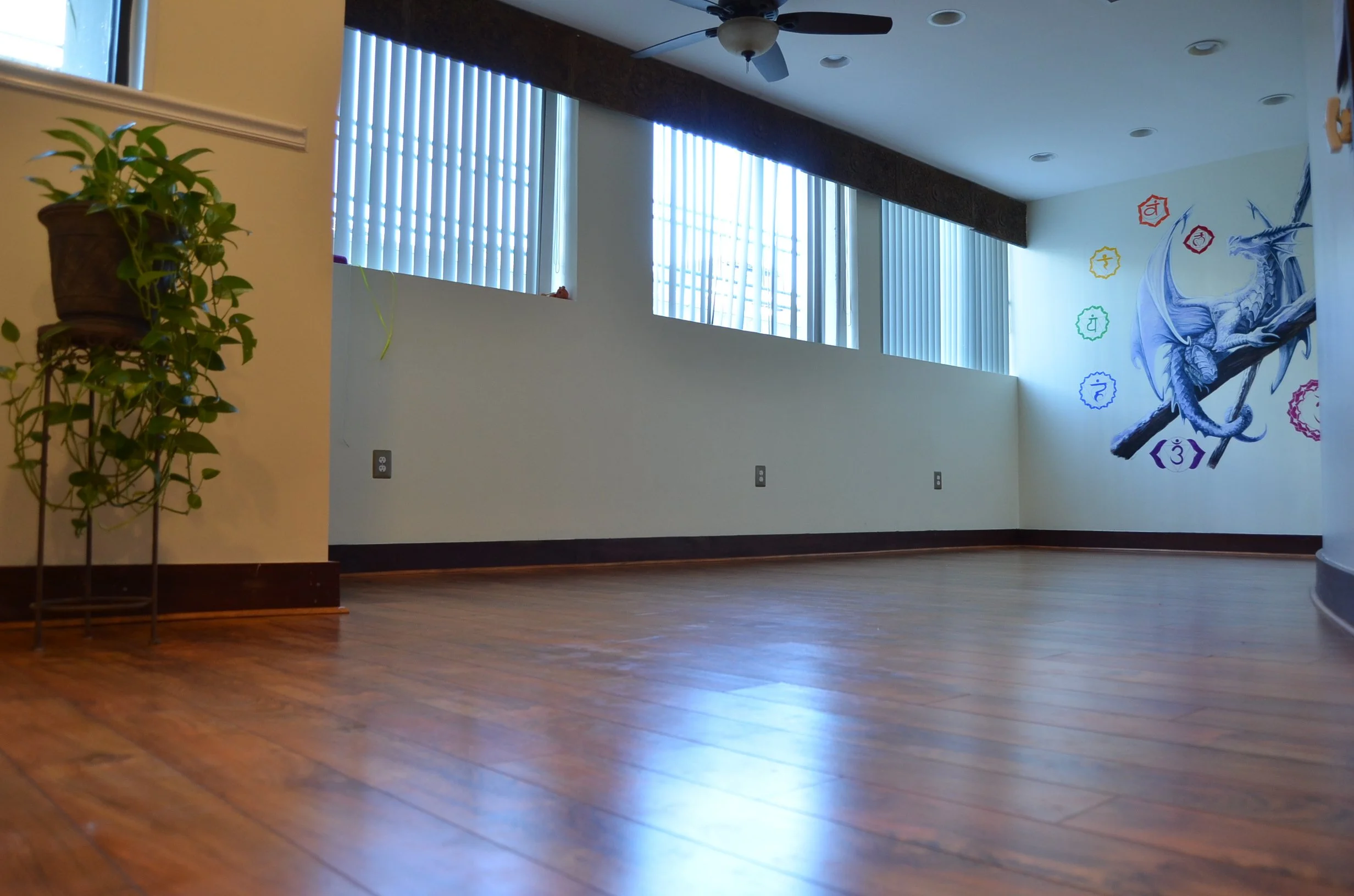 Studio Naga at Thrive Yoga