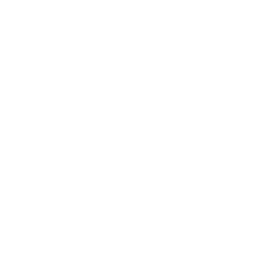 Active icon