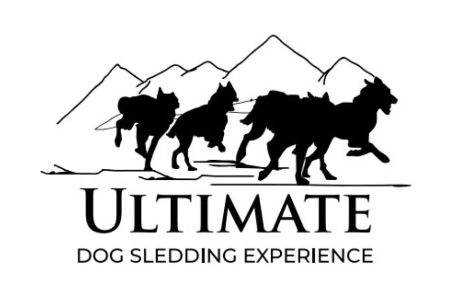 dog sledding