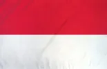 Flag 10