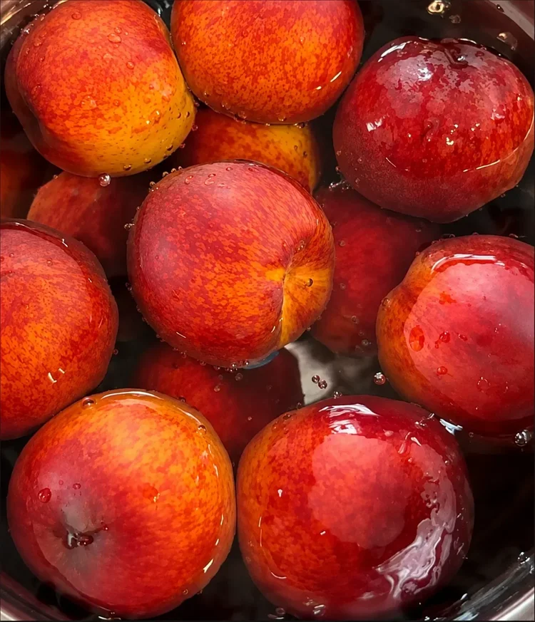 Red and golden stone fruit being washed