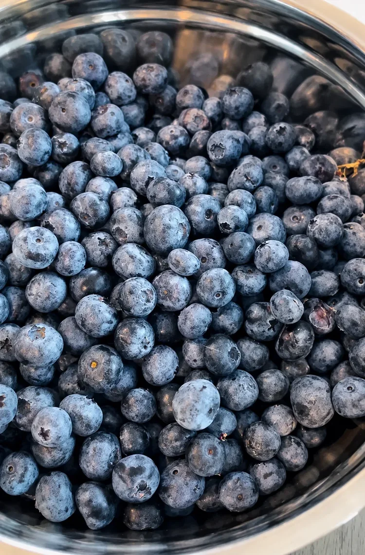 Fresh blueberries in a metal bowl