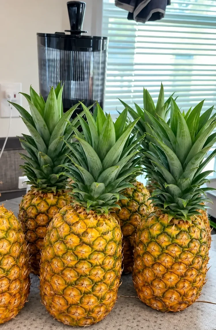 Whole pineapples in the Freezy Bitez kitchen
