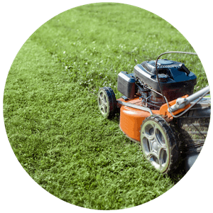 Grass Cutting