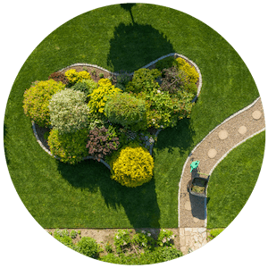 Soft Landscaping