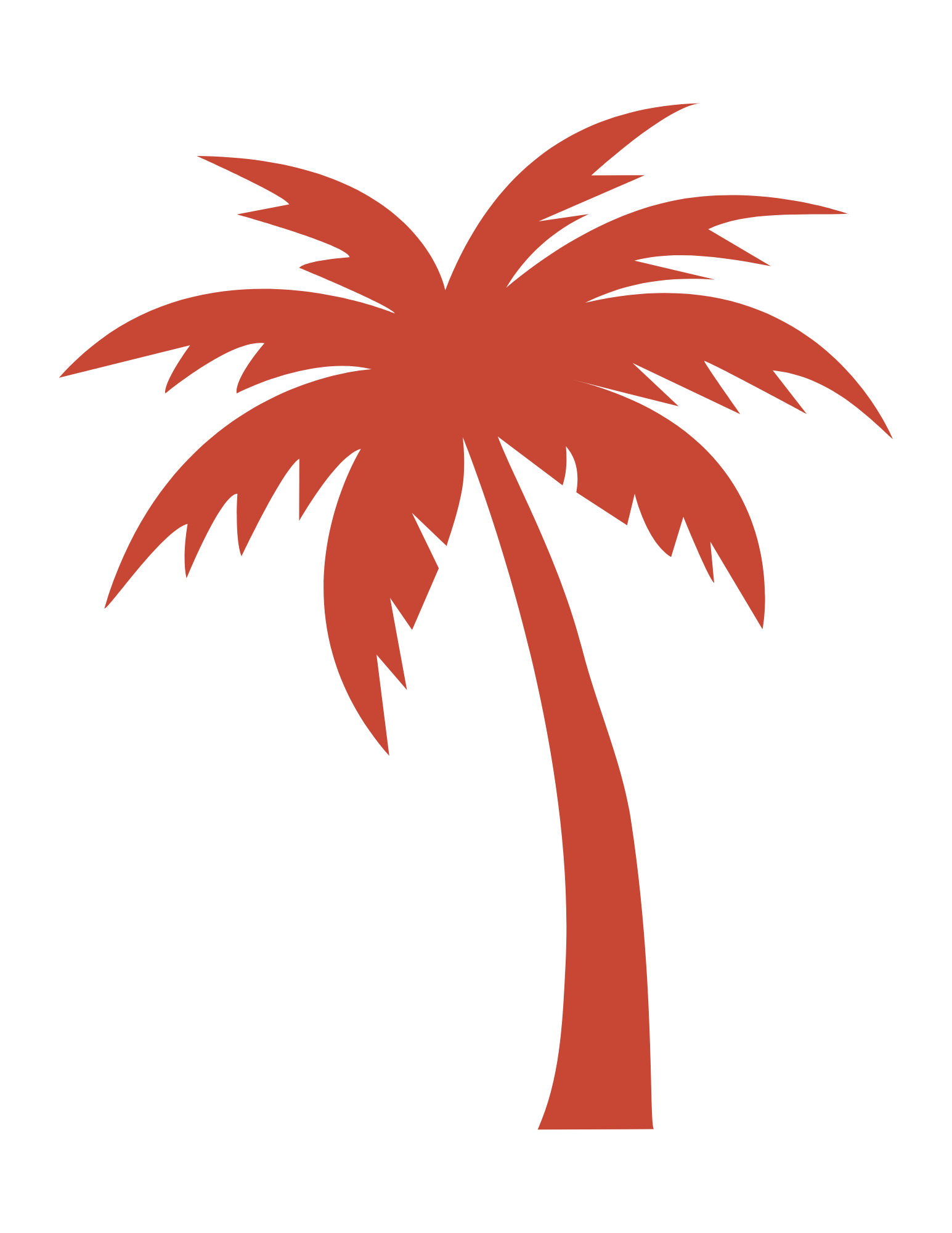 Pura Vida