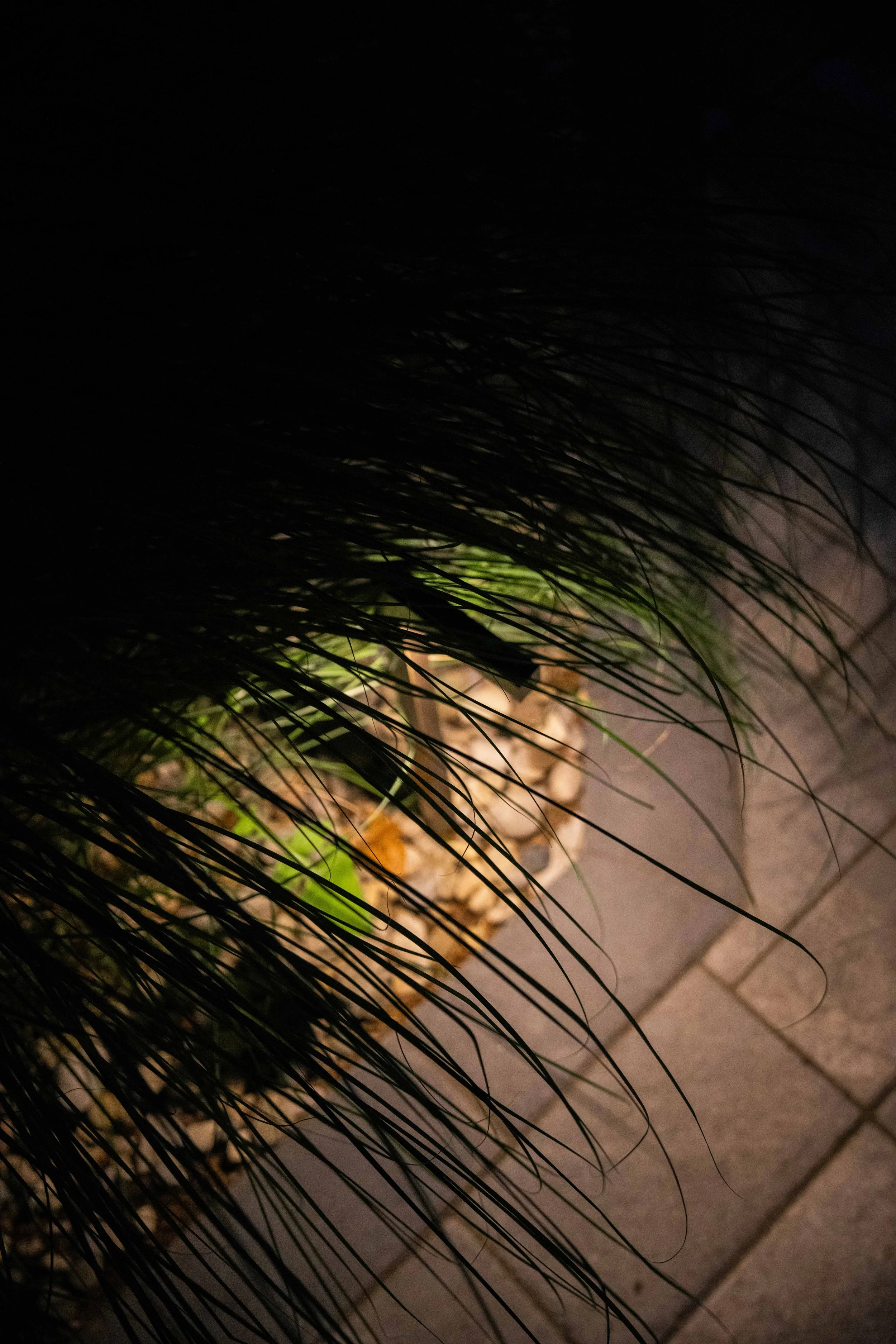 Stone outcrop lit from below with warm light