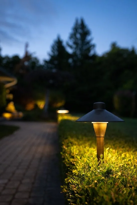 Warm light grazing a clipped hedge beside a walkway, surround left dark