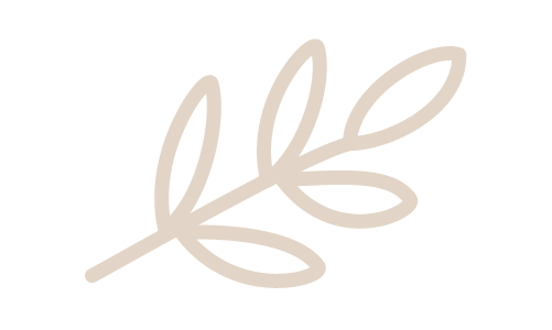 focus icon