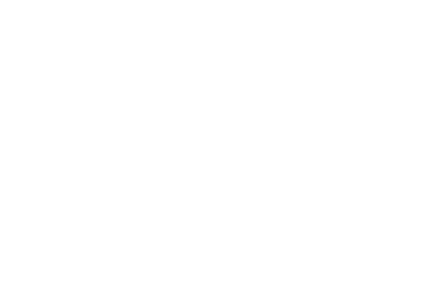 Valentino Beauty logo