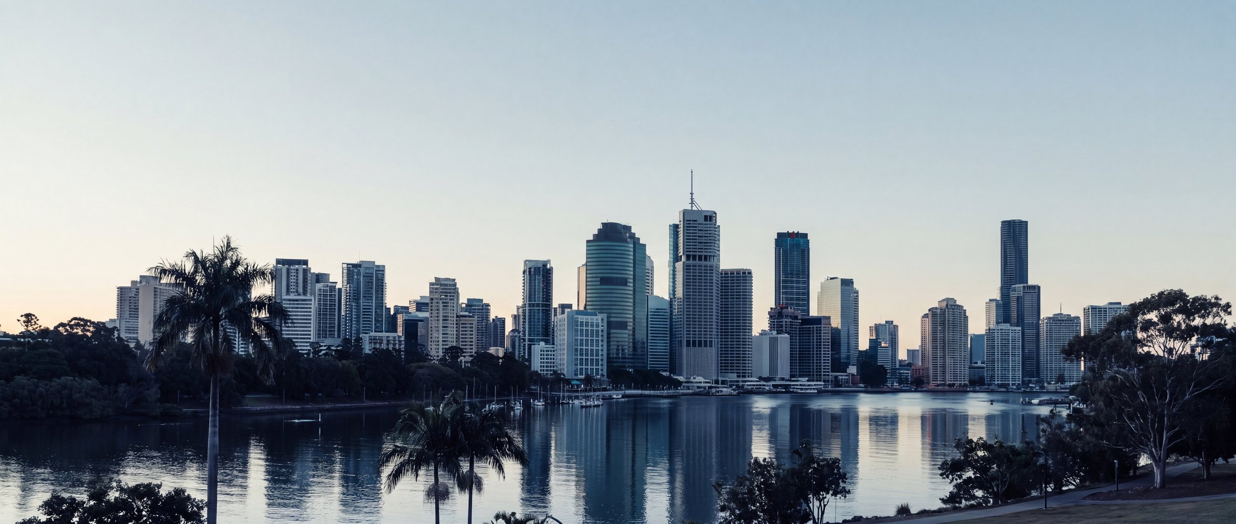 Brisbane city skyline at dawn viewed across the river, with riverside palms in the foreground