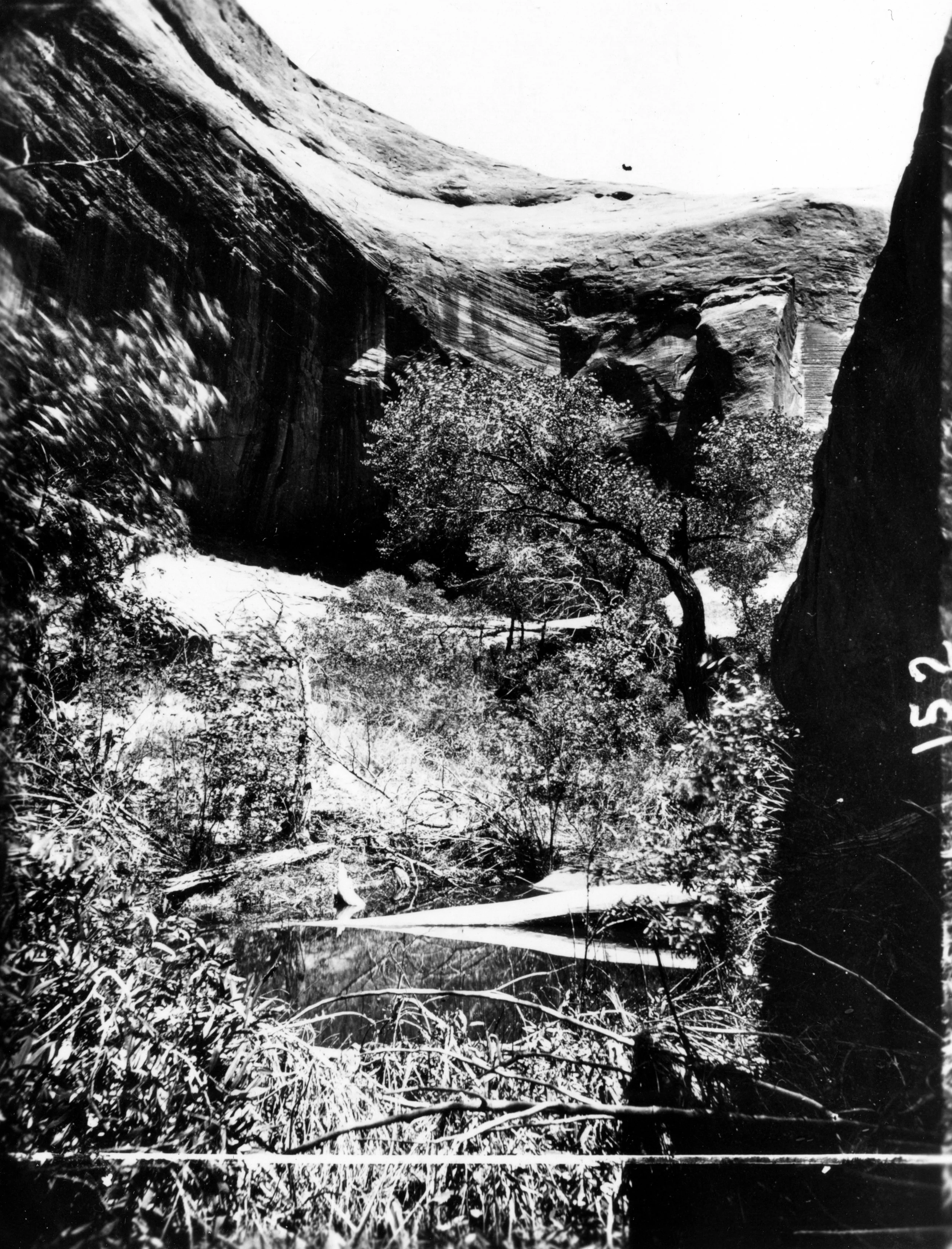 A chamber in a Glen Canyon side canyon before the reservoir filled